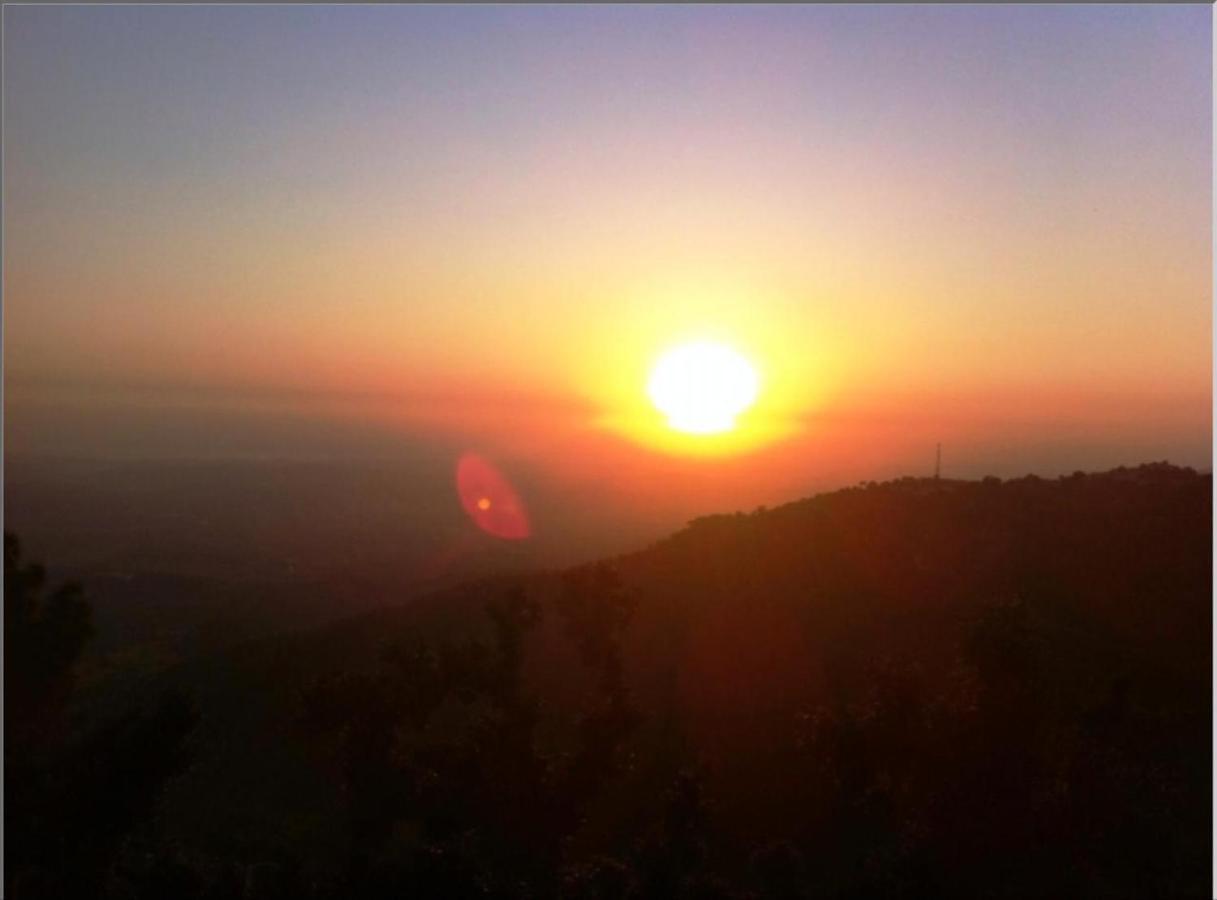 The Horizon Villa South Dharamshala Ngoại thất bức ảnh
